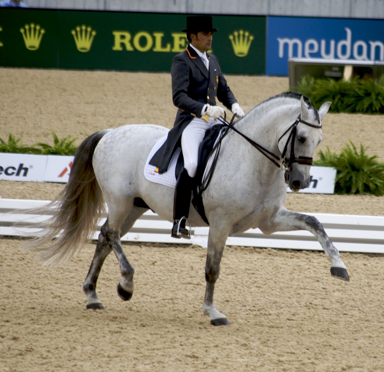 Diferença entre Andar a Cavalo e Montar Cavalo :: Dressage Arte Equestre