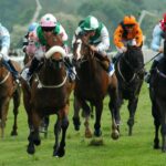 Corrida de Cavalos - Turfe