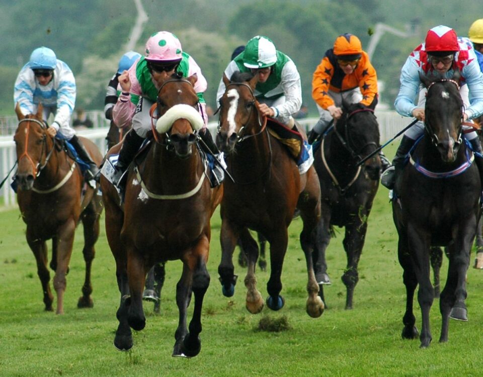 Corrida de Cavalos - Turfe