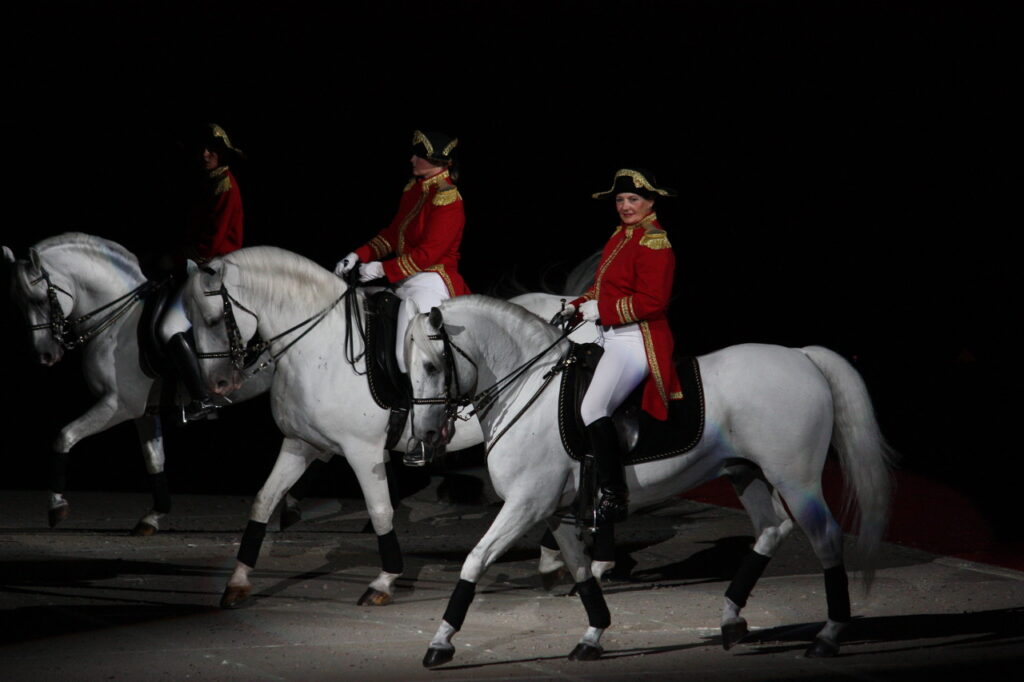 Cavalos de adestramento clássico
