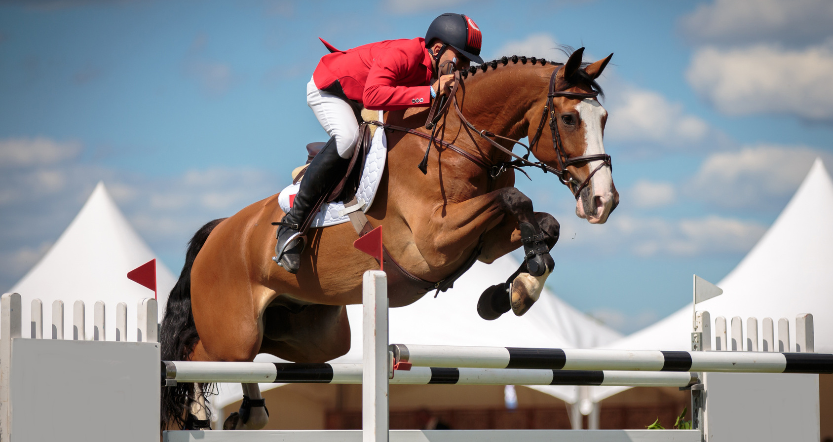 Hipismo Clássico – Salto
