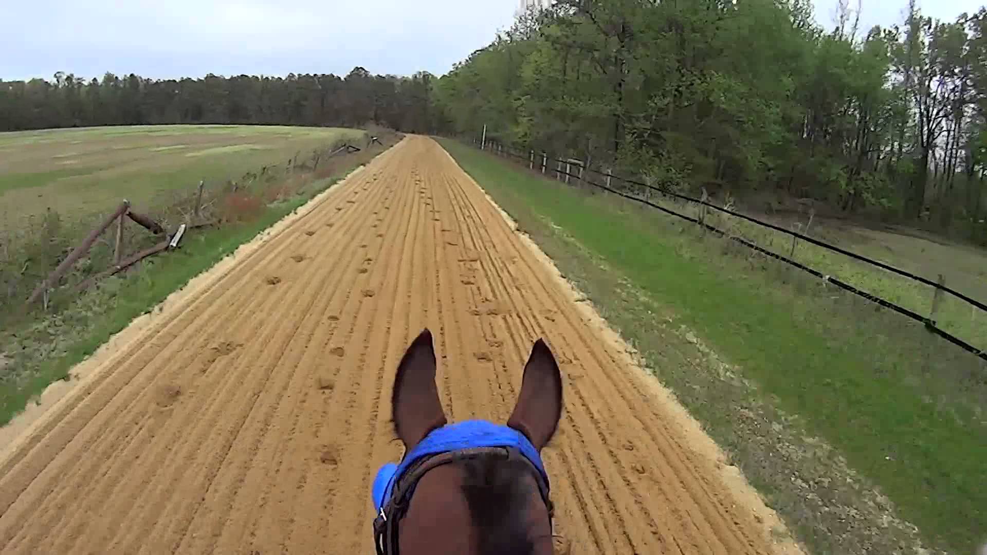 Enduro