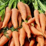 Nutrição do Cavalo Atleta