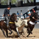 Vaquejada, um esporte tradicional do Nordeste!