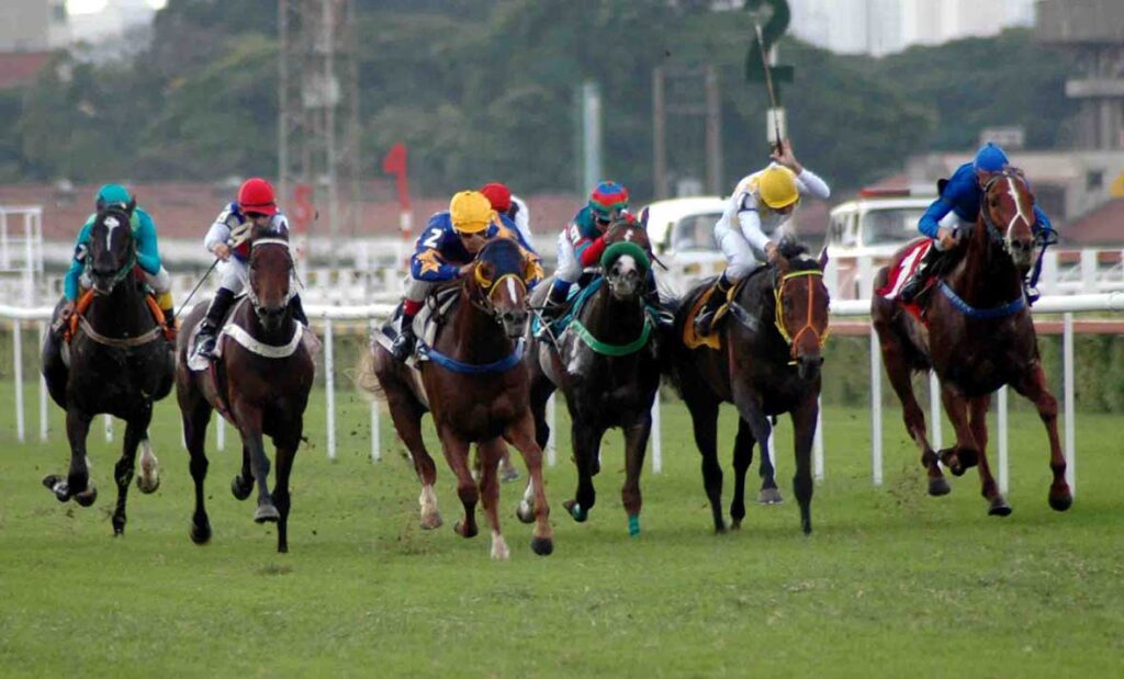 Páreo de turfe em pista de grama